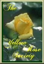 Yellow Rose Society 10.5K